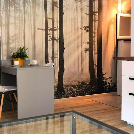 Apartament Sosnowa Puławy Dış mekan fotoğraf